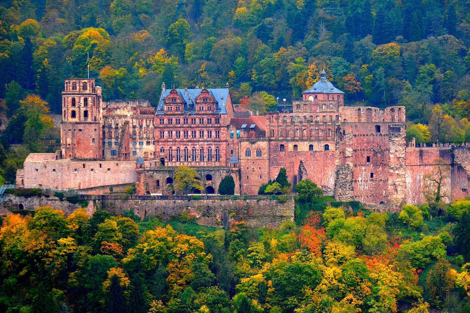 DISCOVER ALL ACTIVITIES IN HEIDELBERG