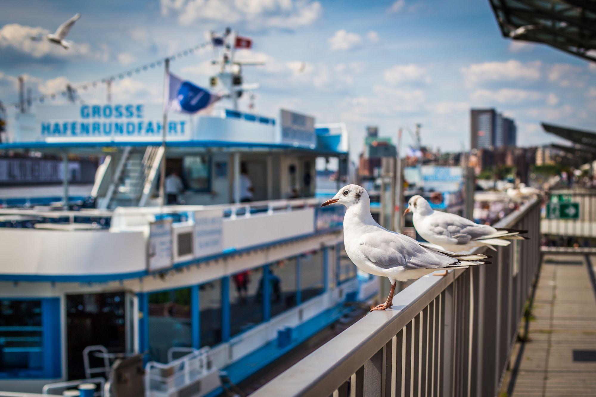 River cruises Hamburg - SIGHT2SIGHT